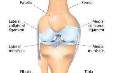 KNEE REPLACEMENT SURGERY